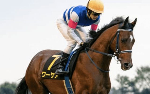 ダービーは２強が断然も一角崩しなるか。注目馬は皐月賞未出走組にいる