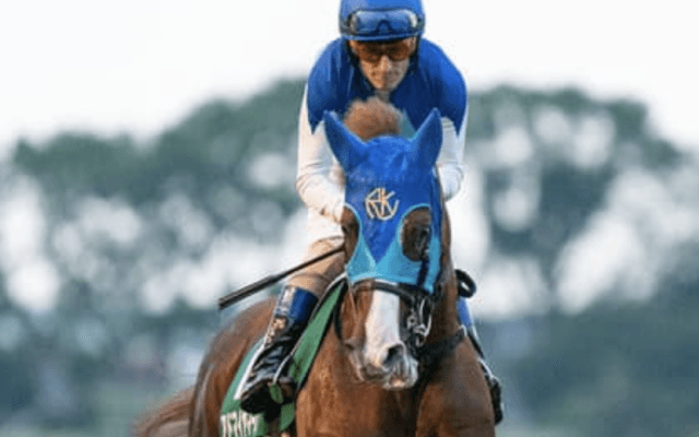 安田記念はチーム「ダノン」が不気味。一発狙うなら「３歳マイル王」