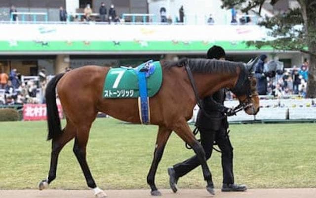 「マカヒキに近い」ヨーホーレイク。一族悲願のＧＩ奪取は果たせるか