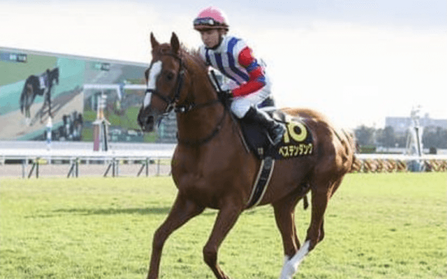 中京記念は大ベテラン馬が狙い。先行力＆重馬場も苦にせず元気いっぱい