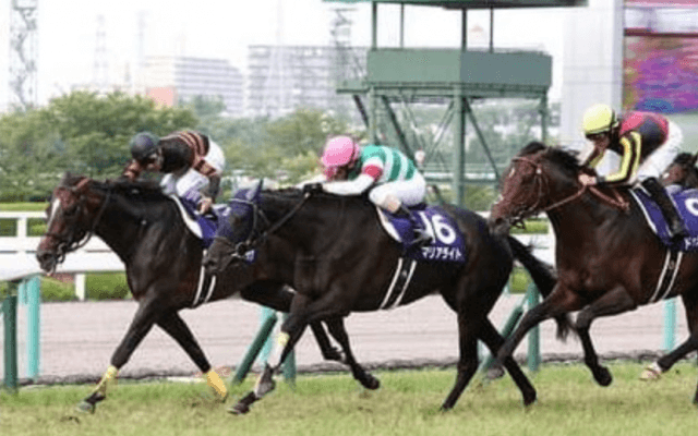 マリアライトの初子オーソクレース。動きよく、スタッフの評価は上々