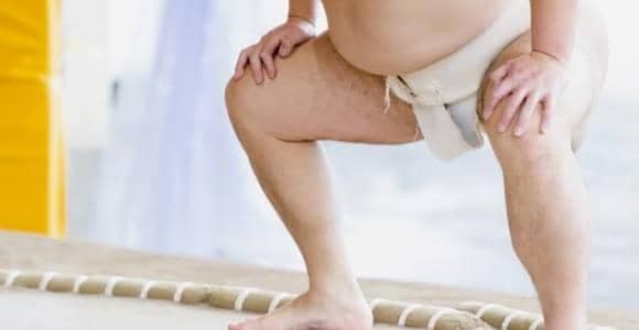 大相撲７月場所が開幕 白鵬、朝乃山は白星発進　鶴竜は遠藤に敗れる