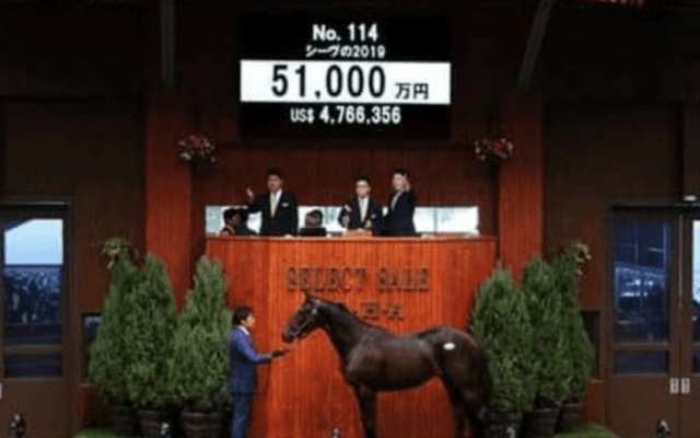 「５億越え」も出たセレクトセール。新世代の種牡馬たちは明暗くっきり