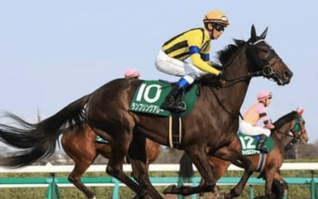 小倉記念は勢いがある馬が強い。血統・コース実績も優秀な２頭に期待