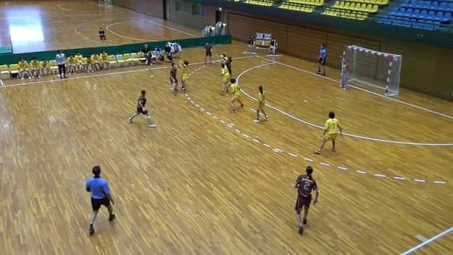 ハンドボール（愛知）女子決勝②