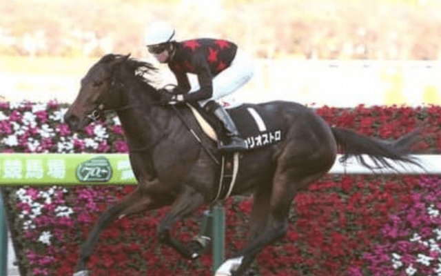 北九州記念は「100万超え」続出。人気薄、軽ハンデの牝馬で大きく狙う