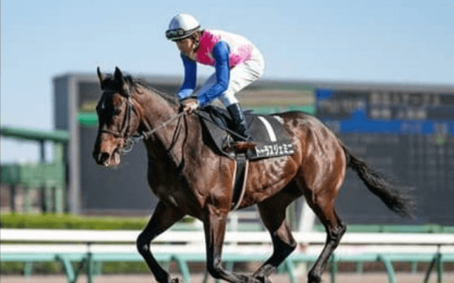 札幌記念は夏に強い牝馬３頭が有力も、展開向く伏兵の一発に注意せよ