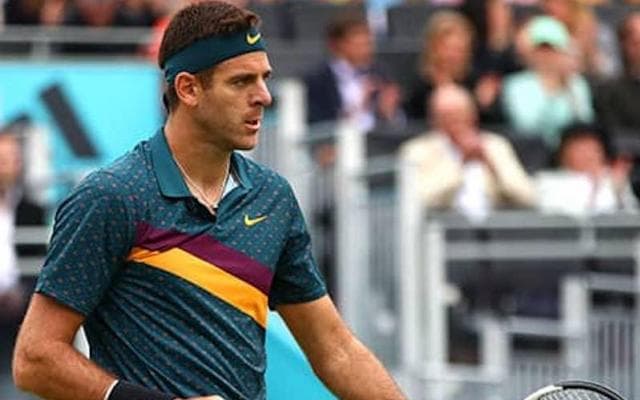 デルポのリハビリ開始を報告