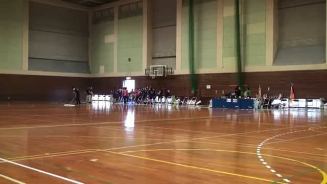 ハンドボール（岡山）	女子決勝