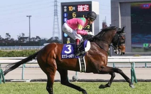 セントウルＳは「高松宮記念の好走馬」と「３歳馬」から狙うべし