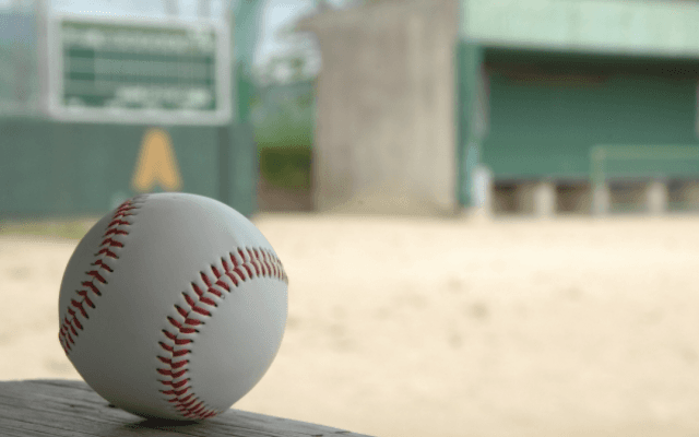 【リニューアル】２０２０年度　野球部選手名鑑