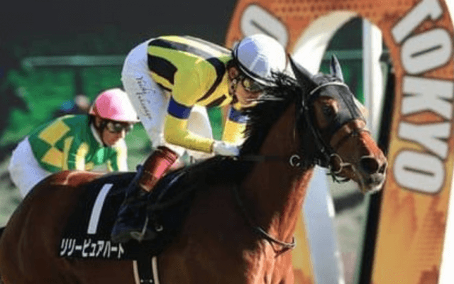 ローズＳで狙うべきは「春の実績馬」か、それとも「夏の上がり馬」か