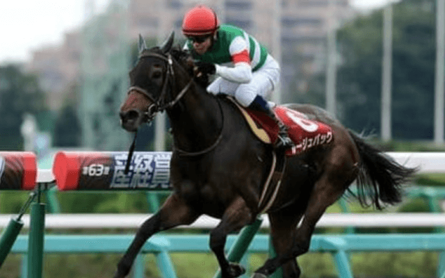 ルージュバックの弟テンカハル。「追うごとによくなっている」