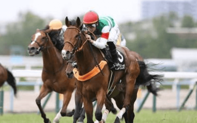 オールカマーは実績よりも適性。穴党記者は斬新すぎる穴馬４頭を推す