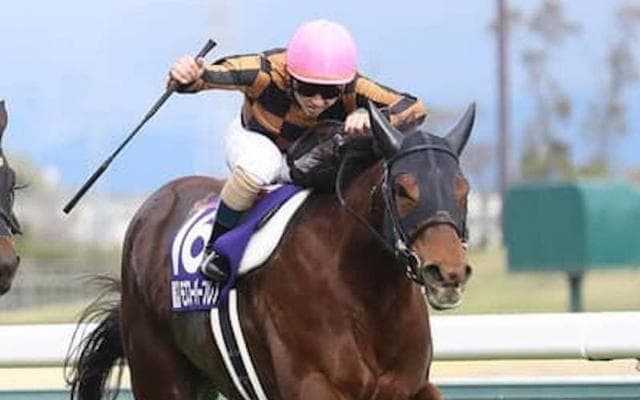 スプリンターズＳは血統的傾向が重要。コース相性もバッチリな２頭を選んだ