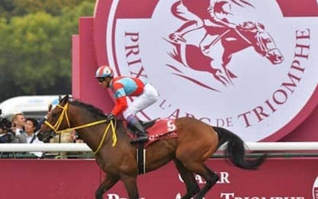 武豊が９度目の凱旋門賞へ。勝利への執念を見せる挑戦の軌跡