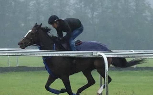 凱旋門賞で日本のディアドラに騎乗する名ジョッキーの男気に感謝