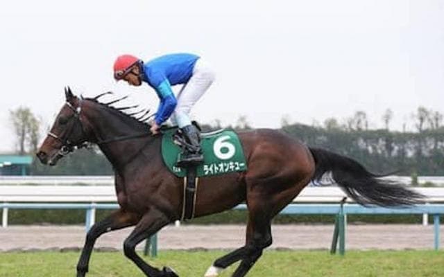 スプリンターズＳは穴党記者の出番。今の中山の馬場に合う３頭で大勝負