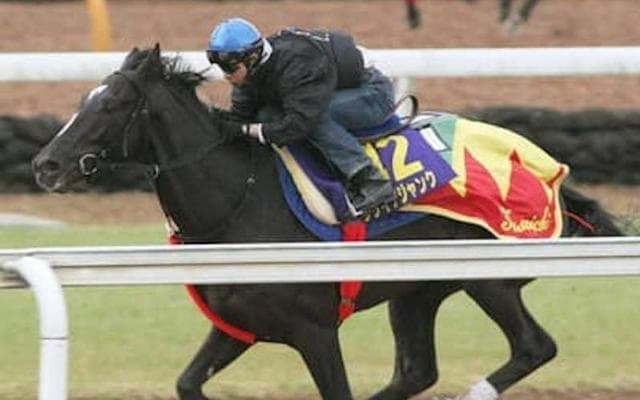 「有力候補」と騒がれながら、本番のクラシックでは勝てなかった馬たち