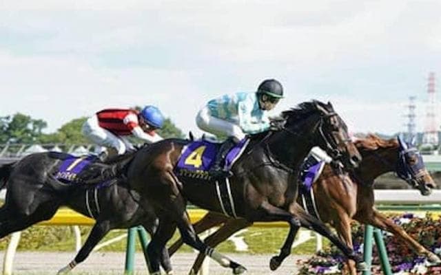 秋華賞でデアリングタクトに死角あり？一抹の不安をあら探しした