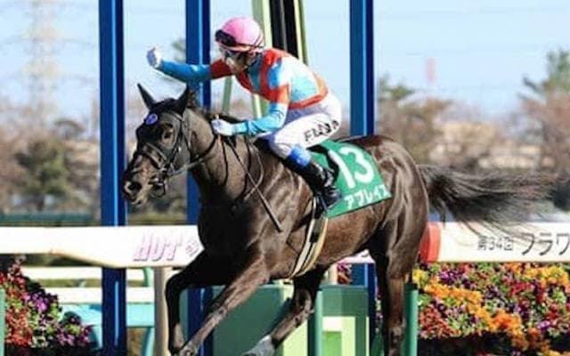 秋華賞はキズナ産駒がコース勝率１位。ならば狙うべき馬が２頭いる