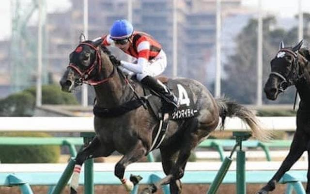 秋華賞はデアリングタクトの相手探し。穴党記者が自信満々で推す３頭