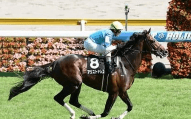 コントレイルとの激走に期待。菊花賞はステイヤー血統馬２頭にも注目