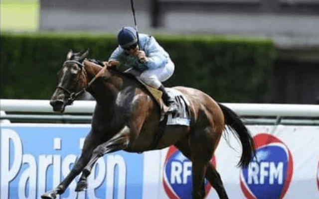 世界的な名牝の子オヌール。厩舎スタッフの評価は「姉デゼルより上」