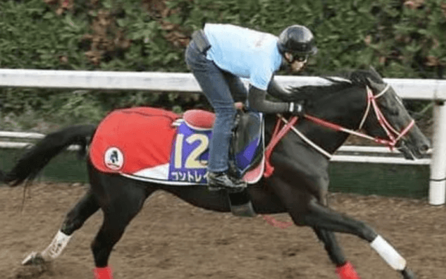 １番人気診断。コントレイルはデアリングタクトほど盤石とは言えない