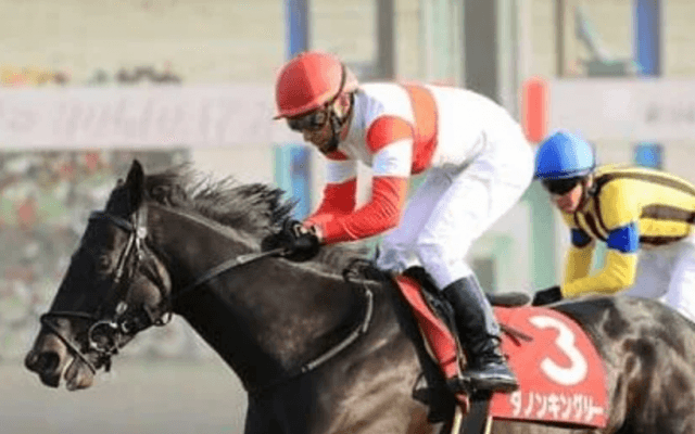 アーモンドアイに死角あり。天皇賞・秋はコントレイルに似た血統馬に注目