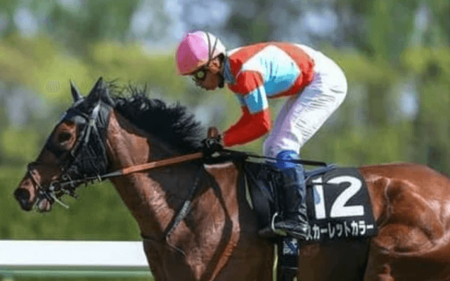 アーモンドアイの快挙を阻むのは？天皇賞・秋で穴党記者が推す３頭