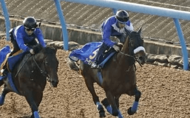 ＧＩ８勝の壁か。アーモンドアイの快挙達成を不安視するデータがズラリ