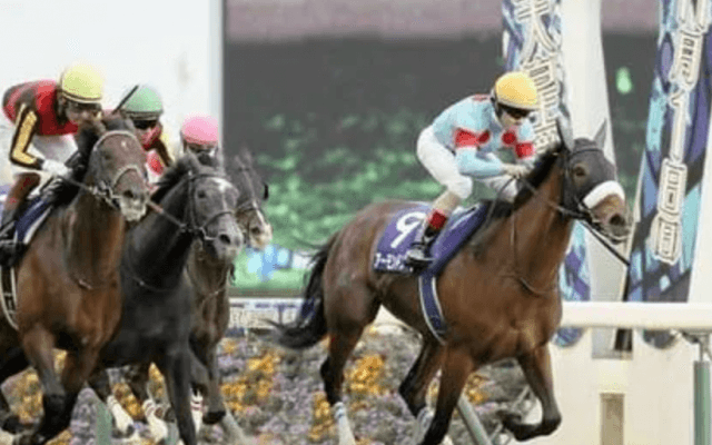 アーモンドアイが偉業を達成。見たいのは無敗の三冠馬たちとの対決だ