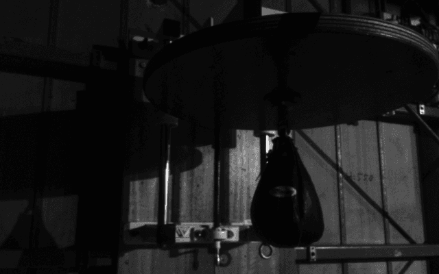 井上尚弥がラスベガスで防衛成功！マロニーに７回KO勝利！カウンターの右一閃