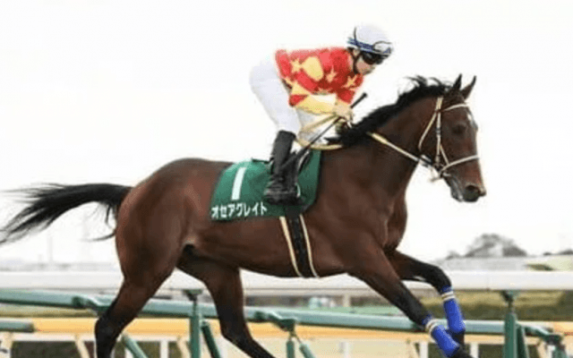 アルゼンチン共和国杯は穴党記者が状態を吟味して選んだ４頭に妙味あり