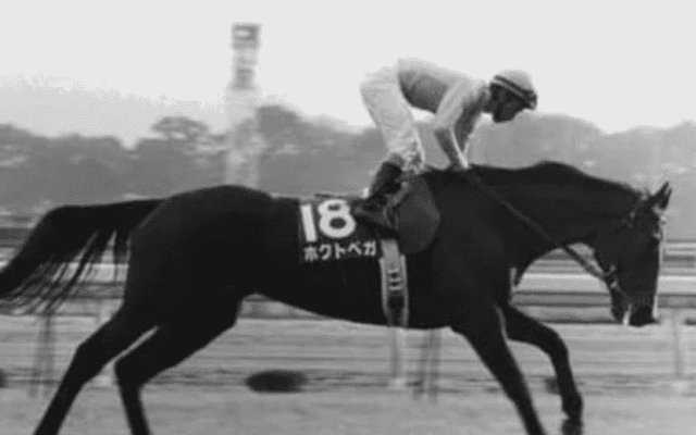 エリザベス女王杯と聞いて思い出す「ベガはベガでも、ホクトベガ！」