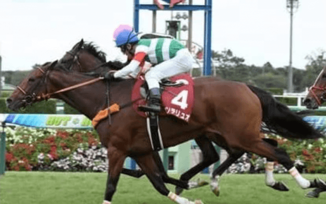 エリザベス女王杯は実績と血統に注目。「芝2200ｍ巧者」が２頭いる