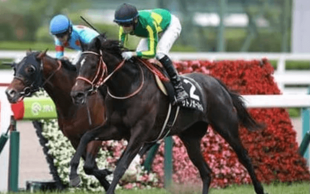 エリザベス女王杯は１番人気が苦戦中。穴党記者が推す穴馬４頭の出番だ