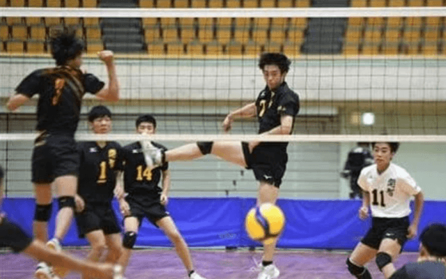 【春高バレー】和歌山は開智と和歌山信愛が全国切符