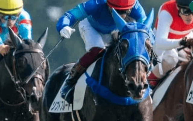 エリザベス女王杯はＧＩ馬３頭が優勢。一角崩しなら勢いある３歳馬か