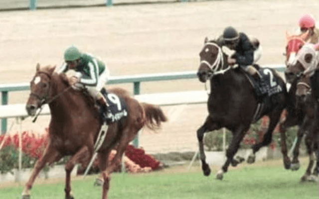 マイルCSで懐かしむ。競馬界の常識を覆した最強のマイル王タイキシャトル