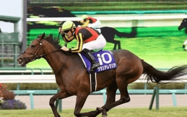 マイルCSはグランアレグリアとサリオスが２強。だが不安材料もある