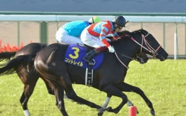 ジャパンＣの「３強」を徹底比較。世紀の一戦で最有力となるのは？