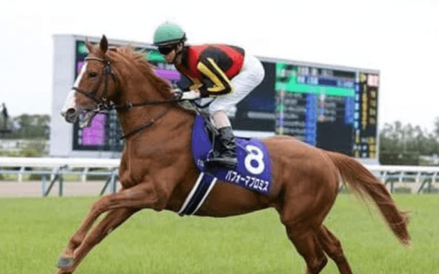 ジャパンＣで「３強」の一角崩しに期待。伏兵扱いの実力馬が３頭いる