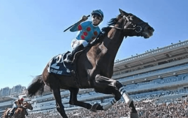 ３強は絶対か？　穴党記者がジャパンＣで「打倒３強」を託す穴馬３頭