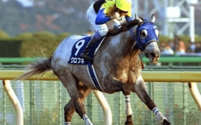 ダートの頂上決戦を前にして思い浮かぶ、怪物クロフネの衝撃の「鬼脚」