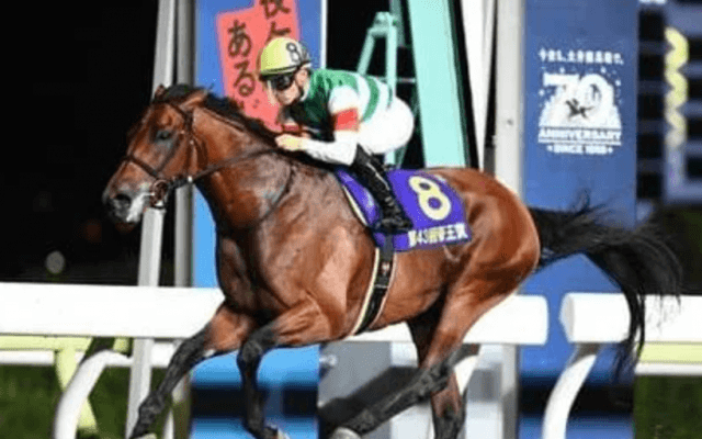 チャンピオンズＣはクリソベリルが軸。穴馬に芝でも好走した実力馬を推す