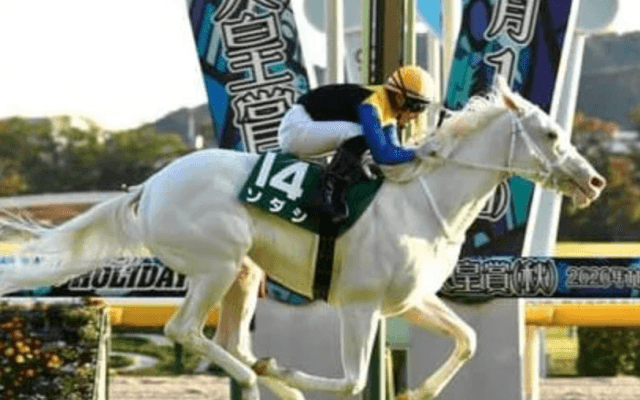 阪神JFでソダシが充実も鉄板ではない。ハイペース、不良馬場で気になる２頭