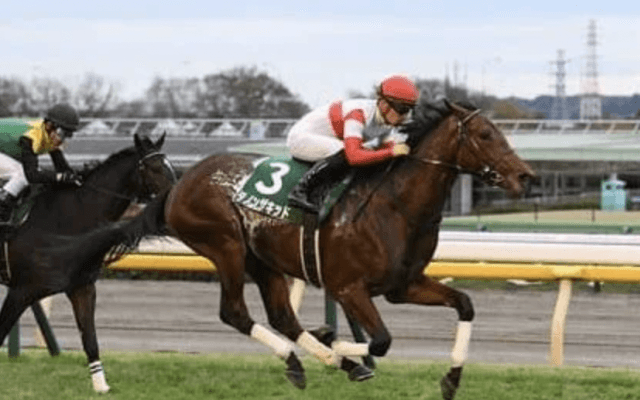 ＧＩ２戦も激戦必至。群雄割拠の２歳牡馬戦線を物語る「識者ランキング」