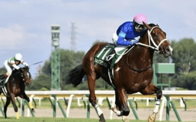 朝日杯FS、穴党記者がレース条件と過去データから見出した４頭の穴馬